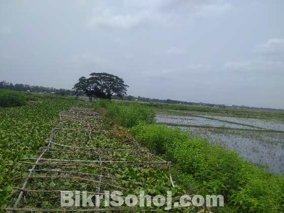 102 শতক ভেজাল মুক্ত জমি বিক্রয় হবে।